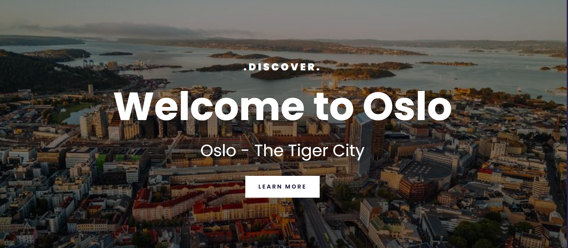 Responsive Oslo Travel Project picture